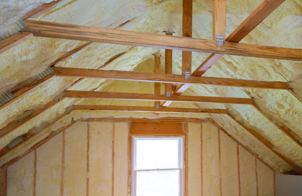 Best Eco-Friendly Insulation in Caldwell, TX