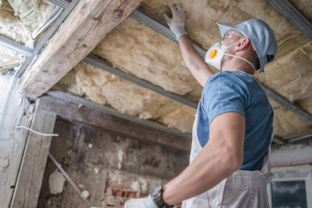 Best Residential Insulation in Caldwell, TX