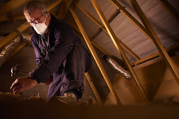 Best Cellulose Insulation in Caldwell, TX